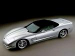 Chevrolet Corvette Speedster by Skunk Werkes 2003 года
